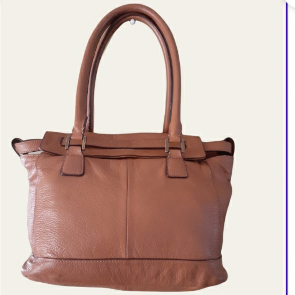 BCBG MAXAZRIA Brown Bag